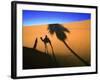 Shadow of Camel and Palm Tree-Martin Harvey-Framed Photographic Print