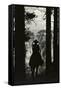 Shadow of Cowboy Sitting in Tree Line-null-Framed Stretched Canvas