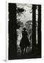 Shadow of Cowboy Sitting in Tree Line-null-Framed Photographic Print