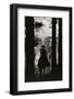 Shadow of Cowboy Sitting in Tree Line-null-Framed Photographic Print