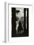 Shadow of Cowboy Sitting in Tree Line-null-Framed Photographic Print