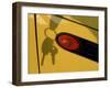 Shadow of Keys Against a Yellow Car-null-Framed Premium Photographic Print