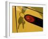 Shadow of Keys Against a Yellow Car-null-Framed Premium Photographic Print