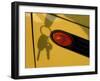 Shadow of Keys Against a Yellow Car-null-Framed Photographic Print