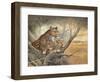 Shadow of Love-Ruane Manning-Framed Art Print