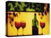 Shadow of Red Wine Bottle and Red Wine Glasses on Wall-Peter Howard Smith-Stretched Canvas