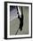 Shadow of Tennis Player in Action-null-Framed Photographic Print