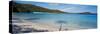 Shadow of Trees on Beach, Hawksnest Bay, Virgin Islands National Park, St. John, Us Virgin Islands-null-Stretched Canvas