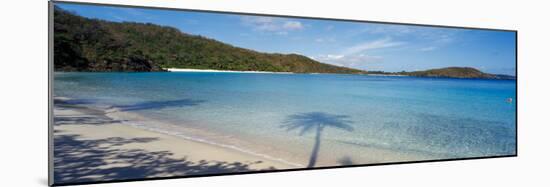 Shadow of Trees on Beach, Hawksnest Bay, Virgin Islands National Park, St. John, Us Virgin Islands-null-Mounted Photographic Print