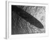 Shadow of Zeppelin Airship "Hindenburg" Cast over Ocean-null-Framed Photographic Print