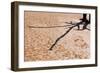 Shadow on Cracked Mud-Grobler du Preez-Framed Photographic Print