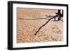 Shadow on Cracked Mud-Grobler du Preez-Framed Photographic Print