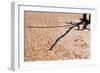 Shadow on Cracked Mud-Grobler du Preez-Framed Photographic Print