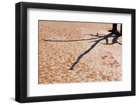 Shadow on Cracked Mud-Grobler du Preez-Framed Photographic Print