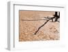 Shadow on Cracked Mud-Grobler du Preez-Framed Photographic Print