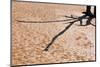 Shadow on Cracked Mud-Grobler du Preez-Mounted Photographic Print