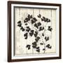 Shadow on Wood I-Andrew Michaels-Framed Art Print