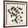 Shadow on Wood I-Andrew Michaels-Framed Art Print