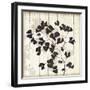 Shadow on Wood I-Andrew Michaels-Framed Art Print