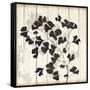 Shadow on Wood I-Andrew Michaels-Framed Stretched Canvas