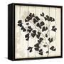 Shadow on Wood I-Andrew Michaels-Framed Stretched Canvas