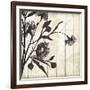 Shadow on Wood II-Andrew Michaels-Framed Art Print