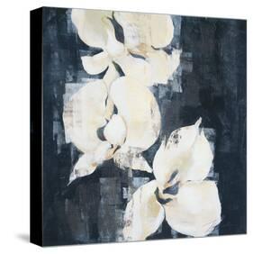 Shadow Orchids II-Elizabeth Jardine-Stretched Canvas