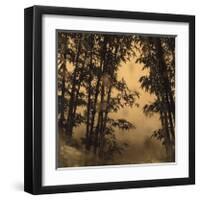 Shadow Play I-Madeleine Endo-Framed Giclee Print