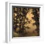 Shadow Play I-Madeleine Endo-Framed Giclee Print