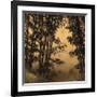 Shadow Play I-Madeleine Endo-Framed Giclee Print