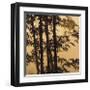 Shadow Play II-Madeleine Endo-Framed Giclee Print