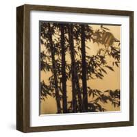 Shadow Play II-Madeleine Endo-Framed Giclee Print