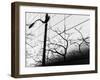 Shadow Post-Dean Forbes-Framed Photographic Print