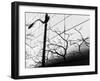 Shadow Post-Dean Forbes-Framed Photographic Print