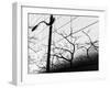 Shadow Post-Dean Forbes-Framed Photographic Print