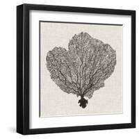 Shadow Sea Fan I-Grace Popp-Framed Art Print