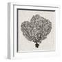 Shadow Sea Fan I-Grace Popp-Framed Art Print