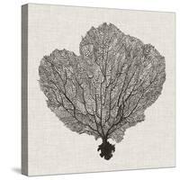 Shadow Sea Fan I-Grace Popp-Stretched Canvas