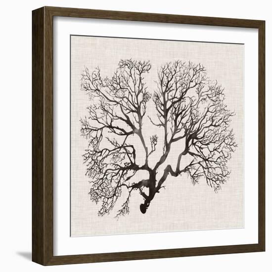 Shadow Sea Fan III-Grace Popp-Framed Art Print