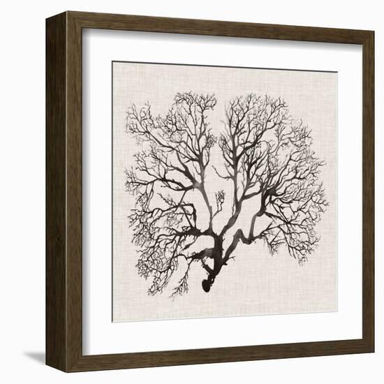 Shadow Sea Fan III-Grace Popp-Framed Art Print