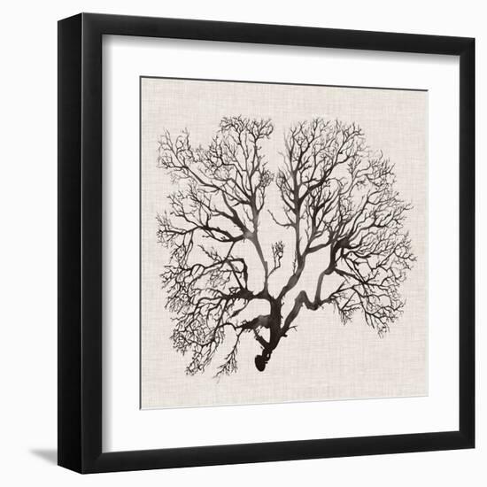 Shadow Sea Fan III-Grace Popp-Framed Art Print