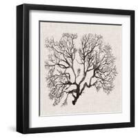 Shadow Sea Fan III-Grace Popp-Framed Art Print