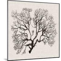 Shadow Sea Fan III-Grace Popp-Mounted Art Print