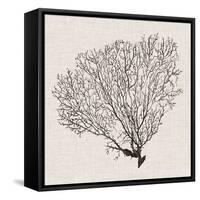 Shadow Sea Fan IV-Grace Popp-Framed Stretched Canvas