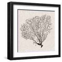 Shadow Sea Fan IV-Grace Popp-Framed Art Print