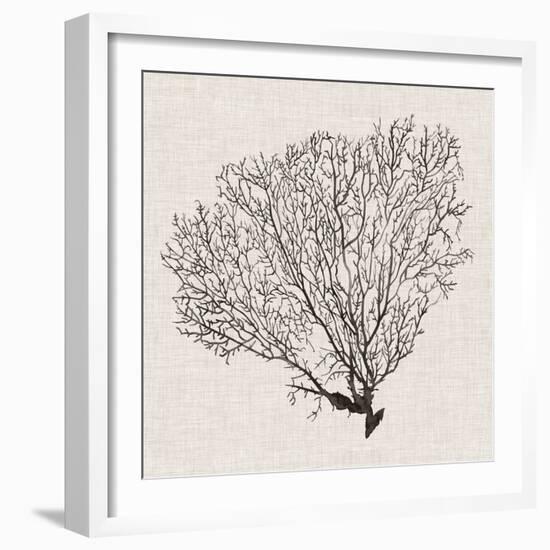 Shadow Sea Fan IV-Grace Popp-Framed Art Print