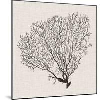 Shadow Sea Fan IV-Grace Popp-Mounted Art Print