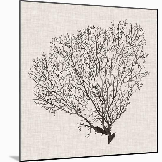 Shadow Sea Fan IV-Grace Popp-Mounted Art Print