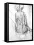 Shadow Silhouette II-Joshua Schicker-Framed Stretched Canvas