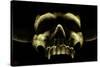 Shadow Skull-Tom Wood-Stretched Canvas